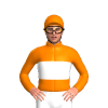 Jockey Silk