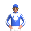 Jockey Silk