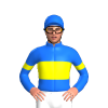 Jockey Silk