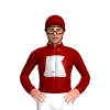 Jockey Silk