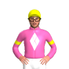 Jockey Silk