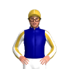 Jockey Silk