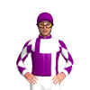 Jockey Silk