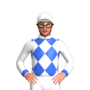 Jockey Silk