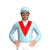 Jockey Silk