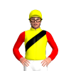 Jockey Silk