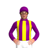 Jockey Silk