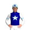 Jockey Silk