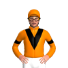 Jockey Silk