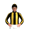 Jockey Silk