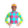 Jockey Silk