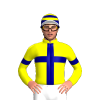 Jockey Silk