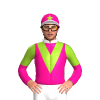 Jockey Silk