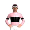 Jockey Silk