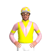 Jockey Silk