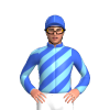 Jockey Silk