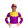 Jockey Silk