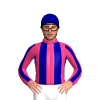 Jockey Silk