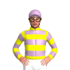 Jockey Silk