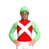 Jockey Silk