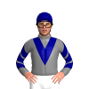 Jockey Silk