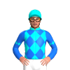 Jockey Silk