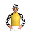 Jockey Silk