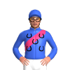 Jockey Silk