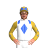 Jockey Silk