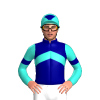 Jockey Silk