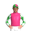 Jockey Silk