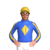 Jockey Silk