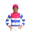 Jockey Silk