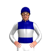 Jockey Silk