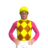 Jockey Silk