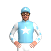 Jockey Silk