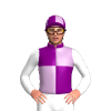 Jockey Silk