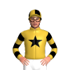 Jockey Silk