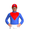 Jockey Silk