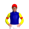 Jockey Silk