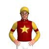 Jockey Silk