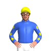 Jockey Silk