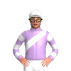 Jockey Silk