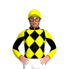 Jockey Silk