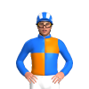 Jockey Silk