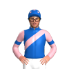 Jockey Silk