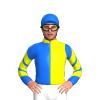 Jockey Silk