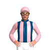 Jockey Silk