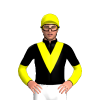 Jockey Silk