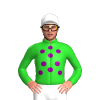 Jockey Silk